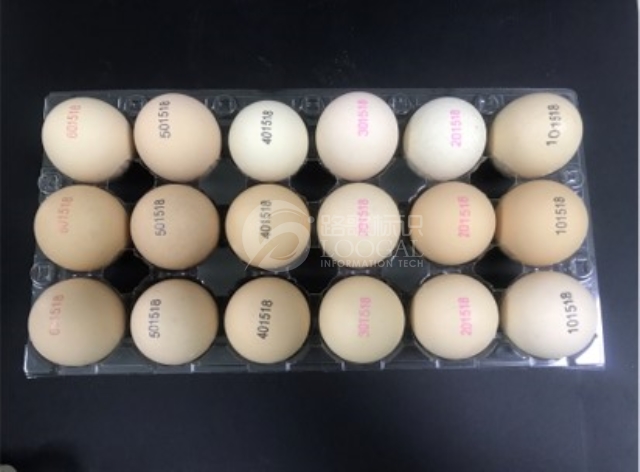 1629963043532bExu4Ec0SH69qvwXeP6mGg 1629963043532bExu4Ec0SH69qvwXeP6mGg